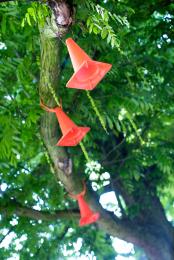 Hanging cones